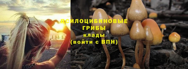МДПВ Балабаново