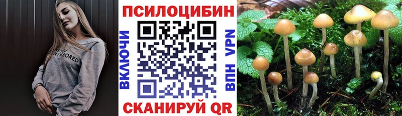Псилоцибиновые грибы прущие грибы  магазин продажи   Новый Оскол 
